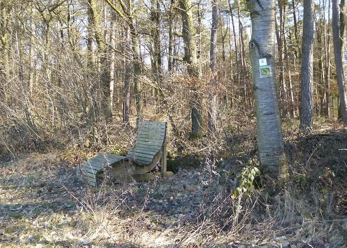 Am Rosenberg