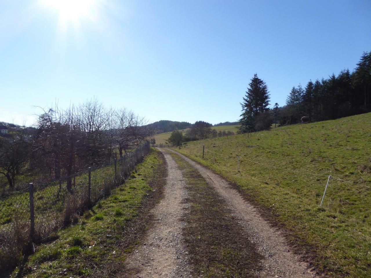 Am Rosenberg Holiday home Naurath (Eifel)